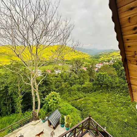 Greenlife Dagevleri Homestay